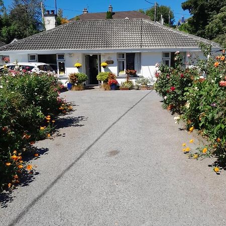 Saint Martin'S Bed And Breakfast Bandon Exteriör bild