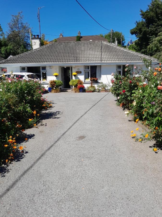 Saint Martin'S Bed And Breakfast Bandon Exteriör bild