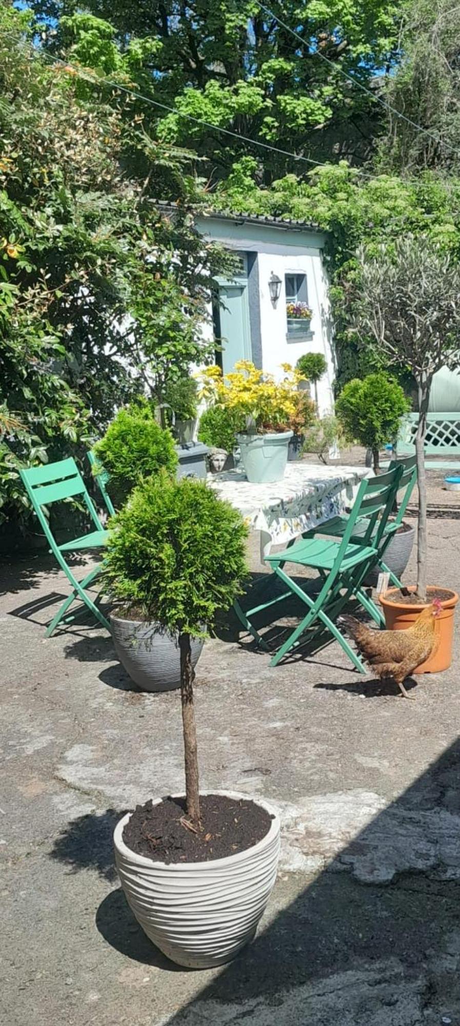 Saint Martin'S Bed And Breakfast Bandon Exteriör bild