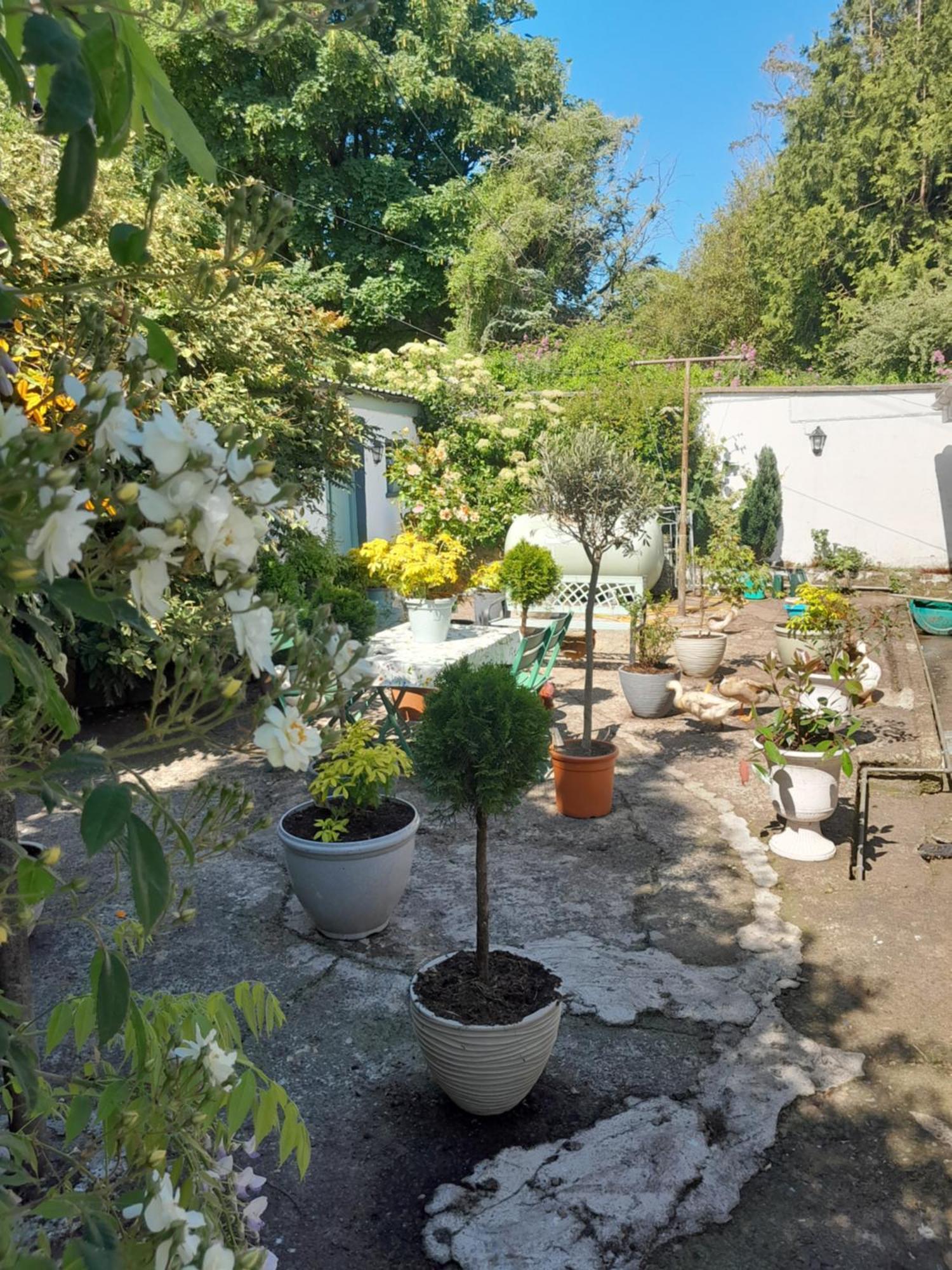Saint Martin'S Bed And Breakfast Bandon Exteriör bild